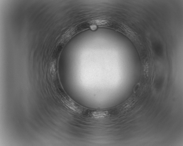 X0000052610373200507081853