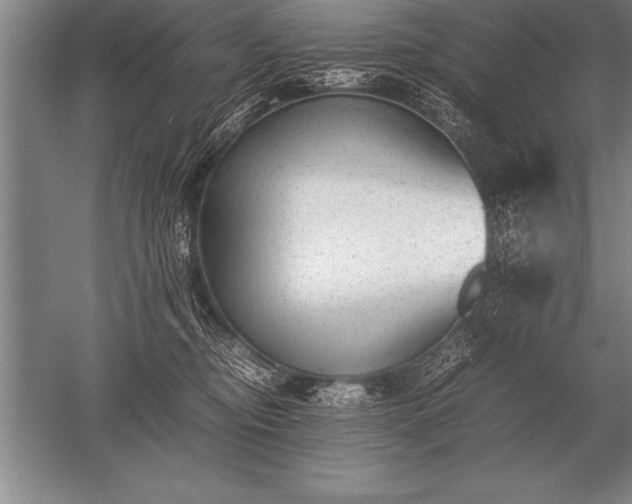 X0000052610374200507081853