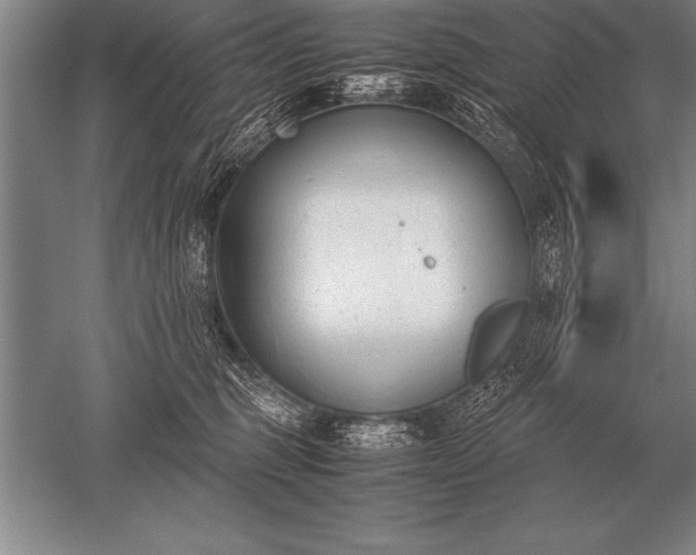 X0000052610375200507081853