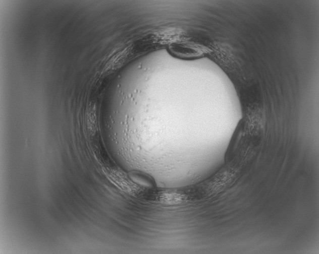 X0000052610376200507081853