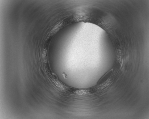 X0000052610378200507081853