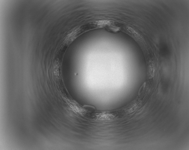 X0000052610379200507081853