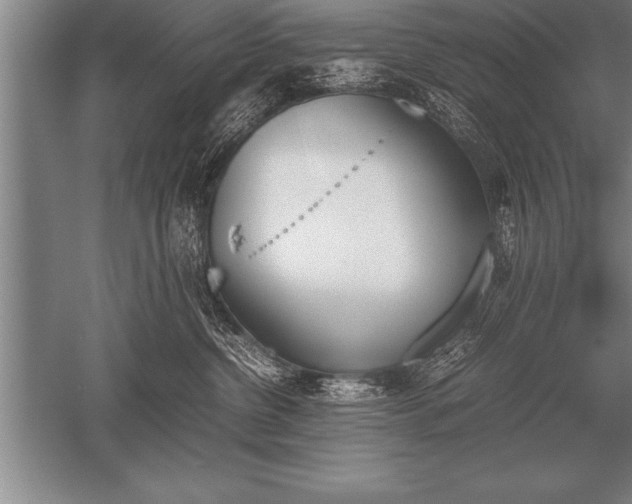 X0000052610380200507081853