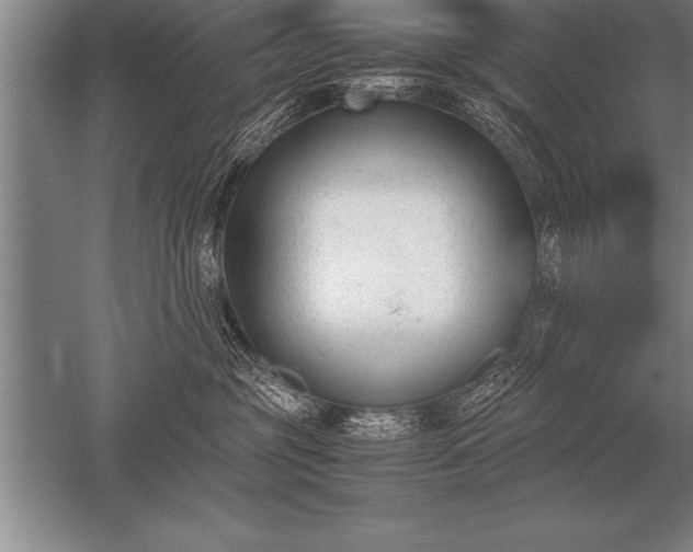 X0000052610381200507081853