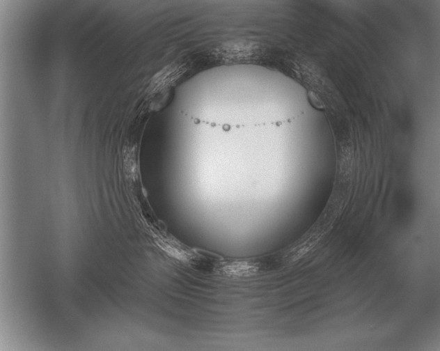 X0000052610383200507081853