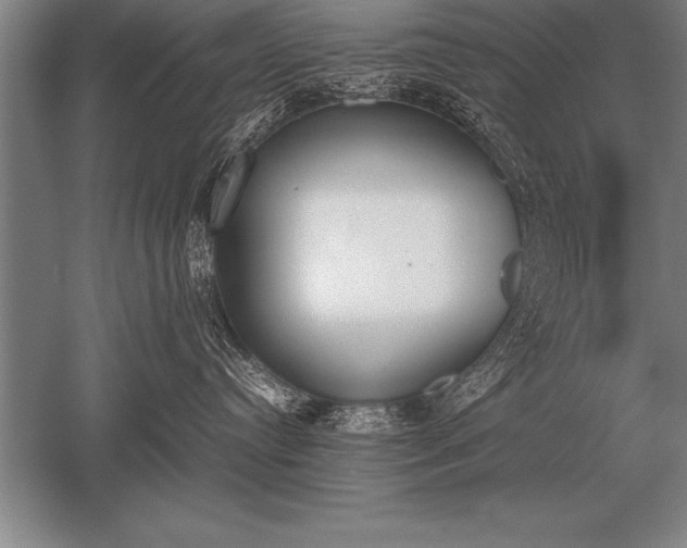 X0000052610384200507081853