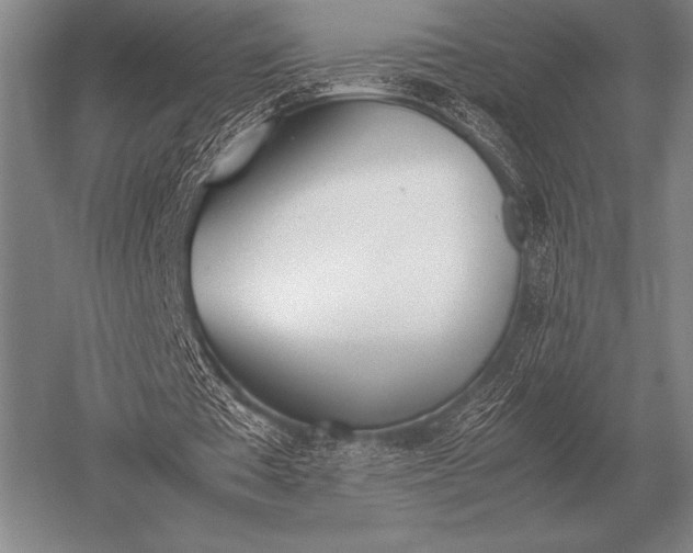 X0000052610385200507081852