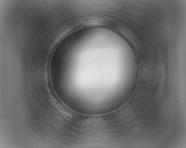 X0000052610386200507081852