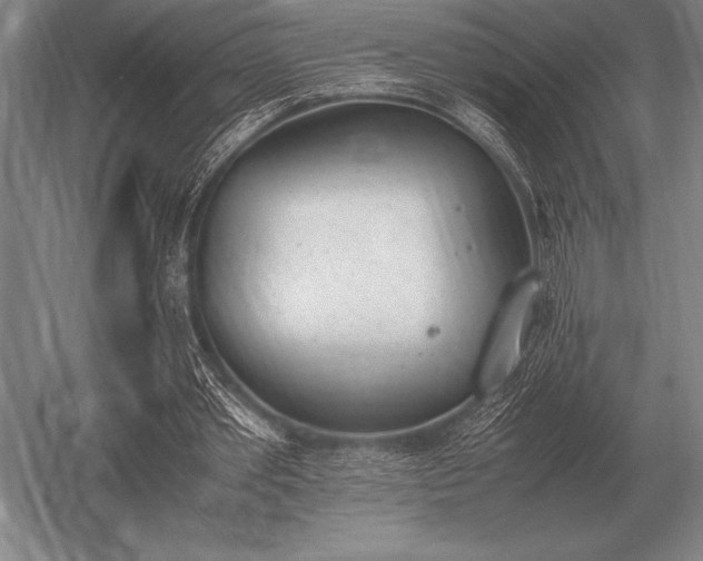 X0000052610389200507081852