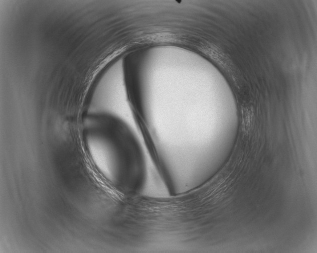 X0000052610390200507081852