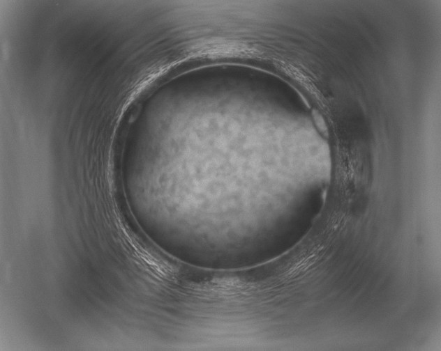 X0000052610391200507081852