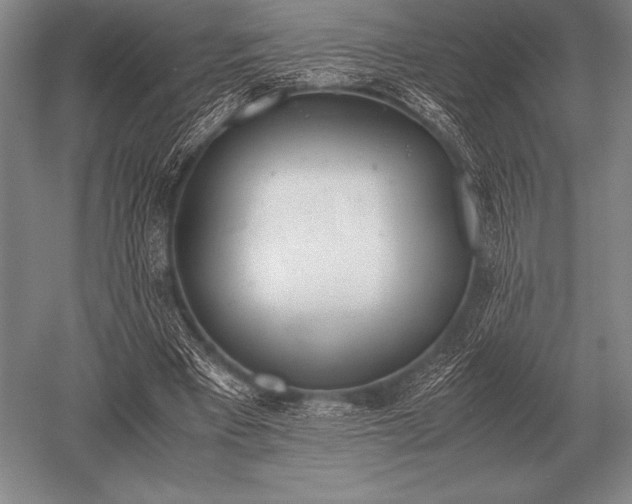 X0000052610393200507081852