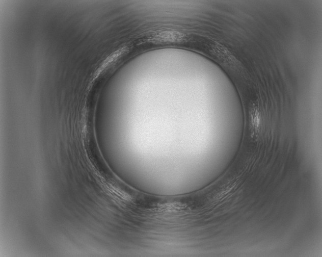 X0000052610396200507081852