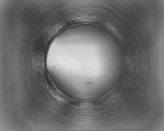 X0000052610398200507081852