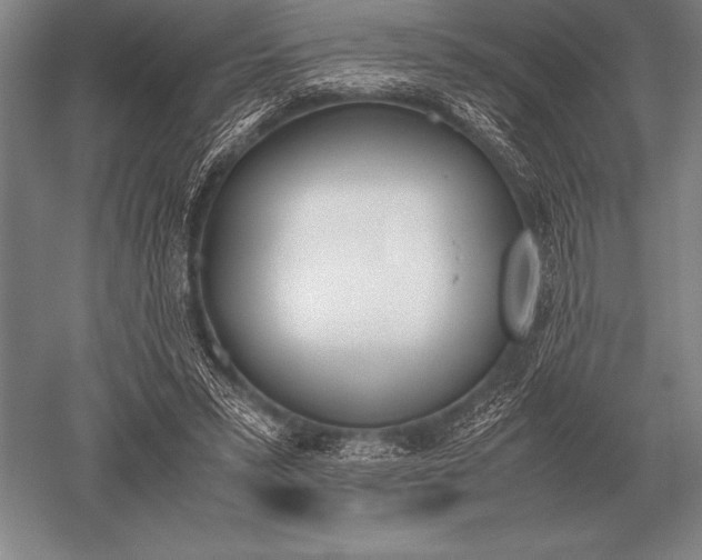 X0000052610399200507081852