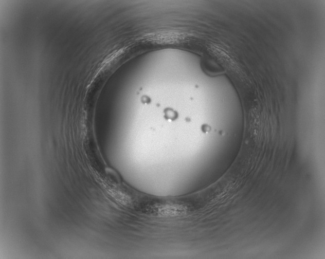 X0000052610400200507081852