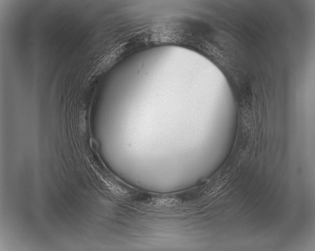 X0000052610401200507081852