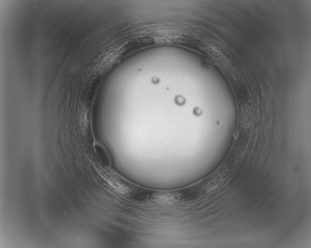 X0000052610405200507081852