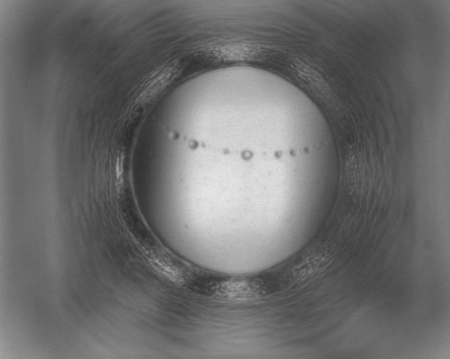 X0000052610406200507081852