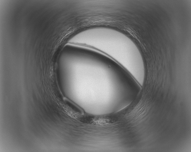 X0000052610407200507081852