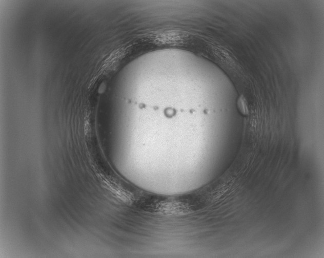 X0000052610408200507081851