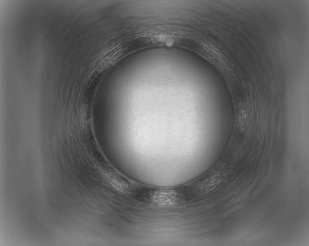 X0000052610410200507081851