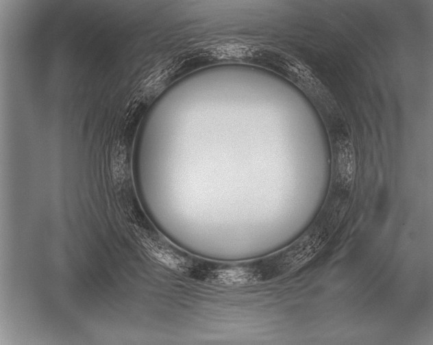 X0000052610411200507081851