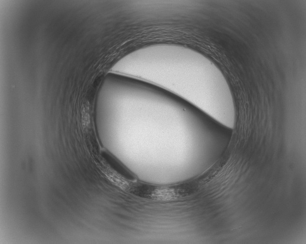 X0000052610413200507081851