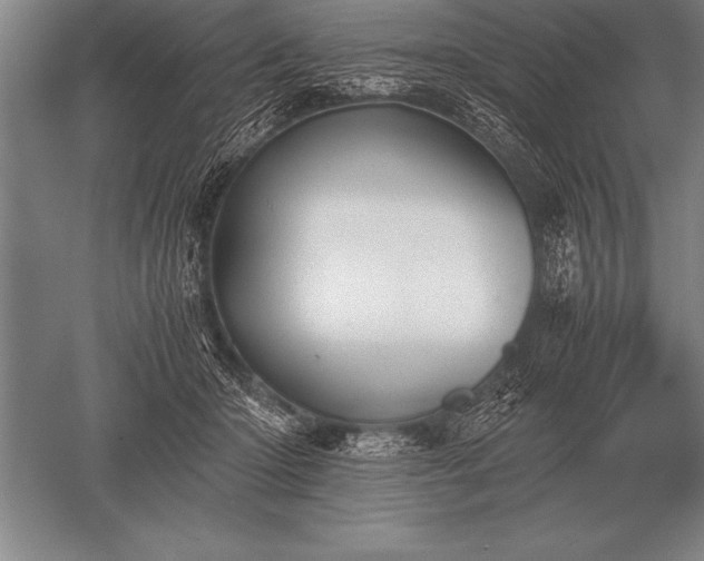 X0000052610414200507081851