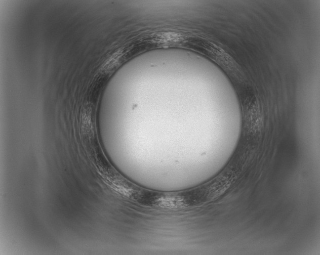 X0000052610415200507081851