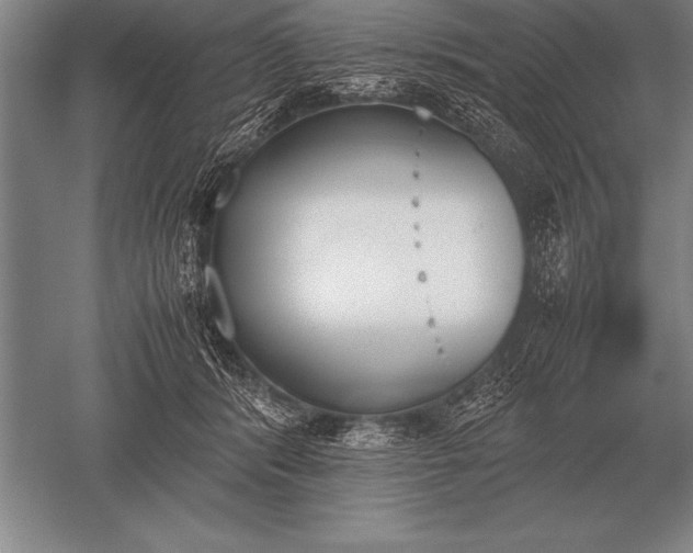 X0000052610416200507081851