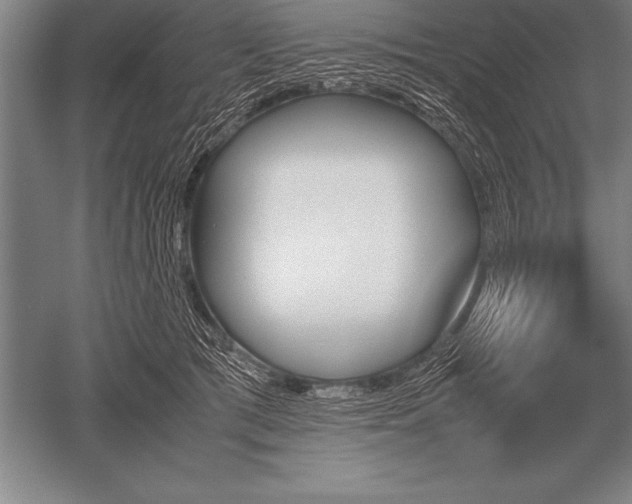 X0000052610417200507081851