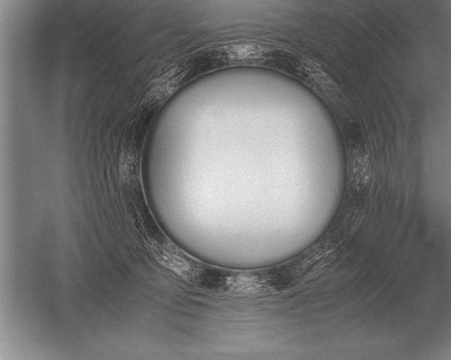 X0000052610419200507081851