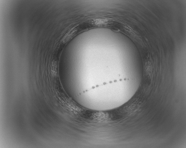 X0000052610421200507081851