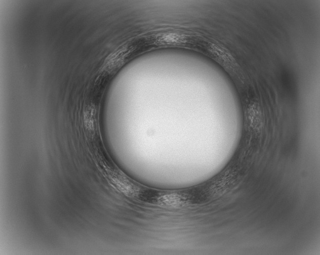 X0000052610423200507081851