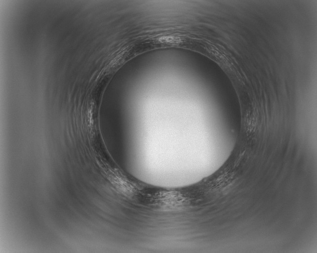 X0000052610424200507081851