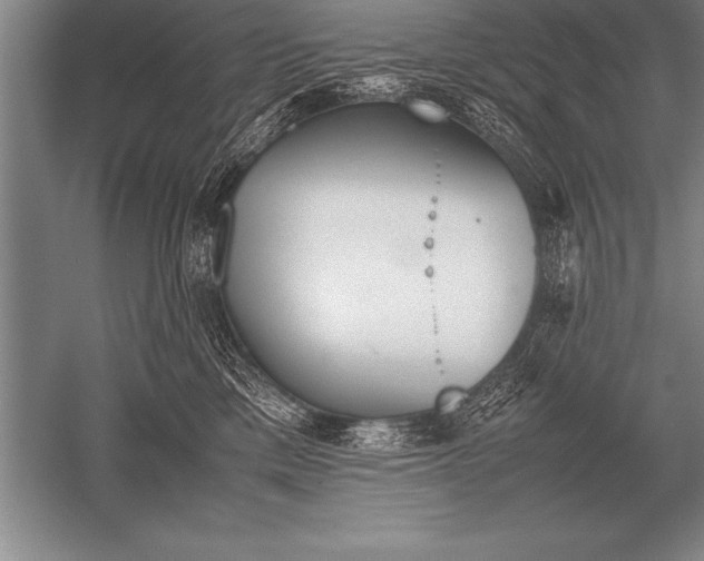 X0000052610425200507081851