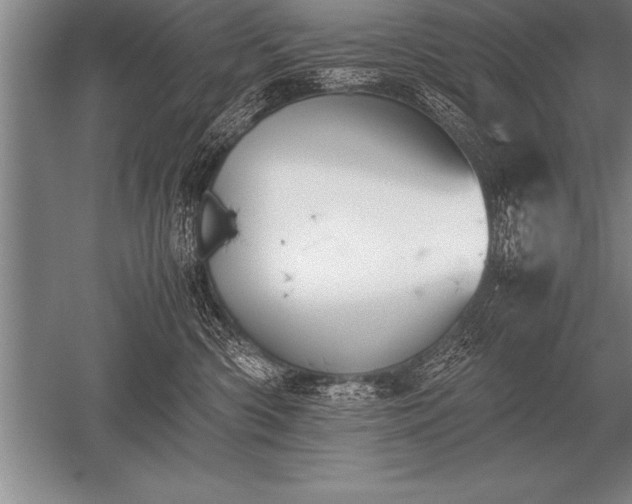 X0000052610426200507081851