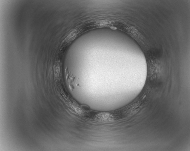 X0000052610427200507081851