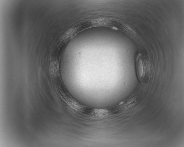 X0000052610429200507081851