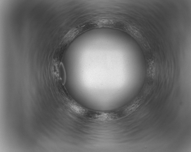 X0000052610430200507081851