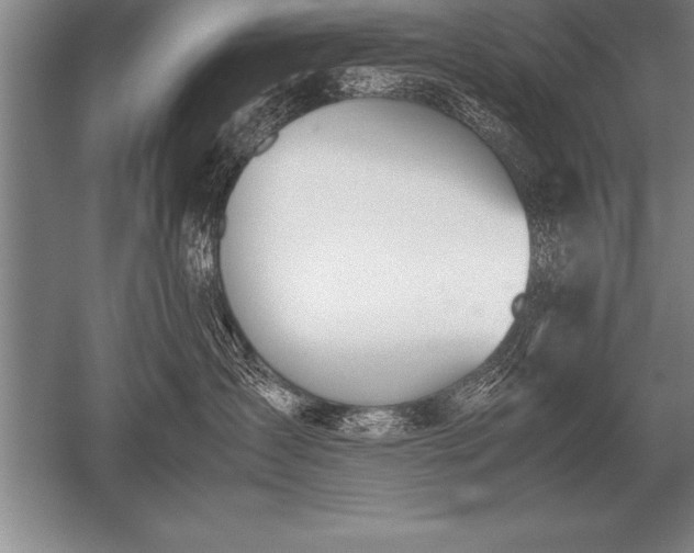 X0000052610431200507081851