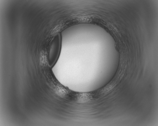 X0000052610432200507081851