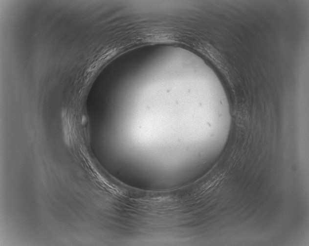 X0000052610433200507081850