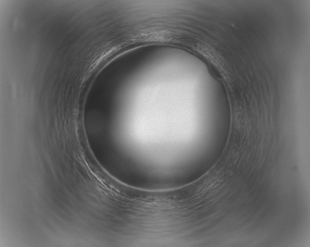 X0000052610434200507081850