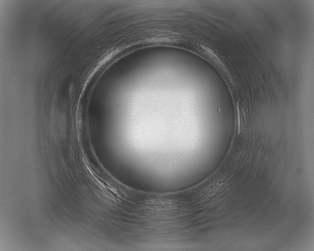 X0000052610435200507081850