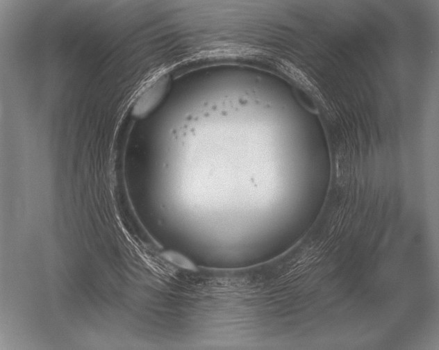 X0000052610436200507081850