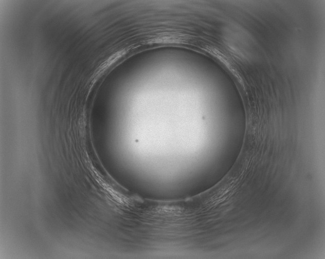 X0000052610437200507081850