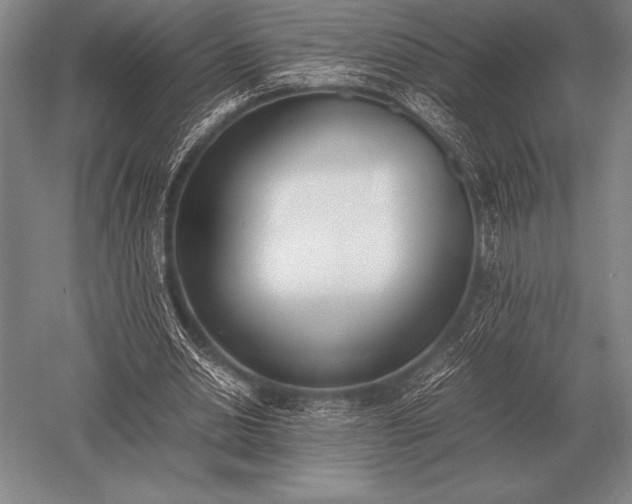 X0000052610438200507081850