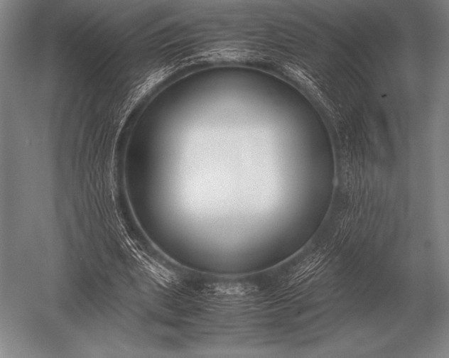 X0000052610439200507081850